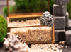 Silver Lion Head Ring in luxurious detail. Close-up shot emphasizes the bold volume and meticulous craftsmanship in the lion's mane. A must-have for individuals who appreciate powerful imagery and high-quality 925 sterling silver jewelry.
