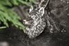 Spiritual wolf head necklace in sterling silver with natural outdoor background
