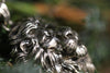 Lion Head Pendant for Men – Sterling Silver Necklace – Bold Animal Jewelry – 925 Silver Lion Pendant Gift for Him