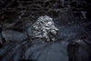 Displayed on a soft fabric background, this lion head ring's intricate details are highlighted. The 925 sterling silver ring has been oxidized to emphasize the fierce design of the lion’s head, making it a powerful accessory for men. This close-up shot emphasizes the depth of the carving, showcasing the lion’s mane and features in all their glory. An excellent choice for those who appreciate bold, symbolic jewelry.