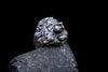 Detailed side view of the handcrafted lion head ring, made from 925 sterling silver. This unique men's ring offers a clear view of the lion's intricate mane, carefully carved to enhance its bold and powerful appearance. The ring’s polished interior ensures comfortable wear while the bold design on the outside captures attention. The sterling silver construction ensures durability and lasting shine, making it an ideal accessory for men who love strong and meaningful jewelry.